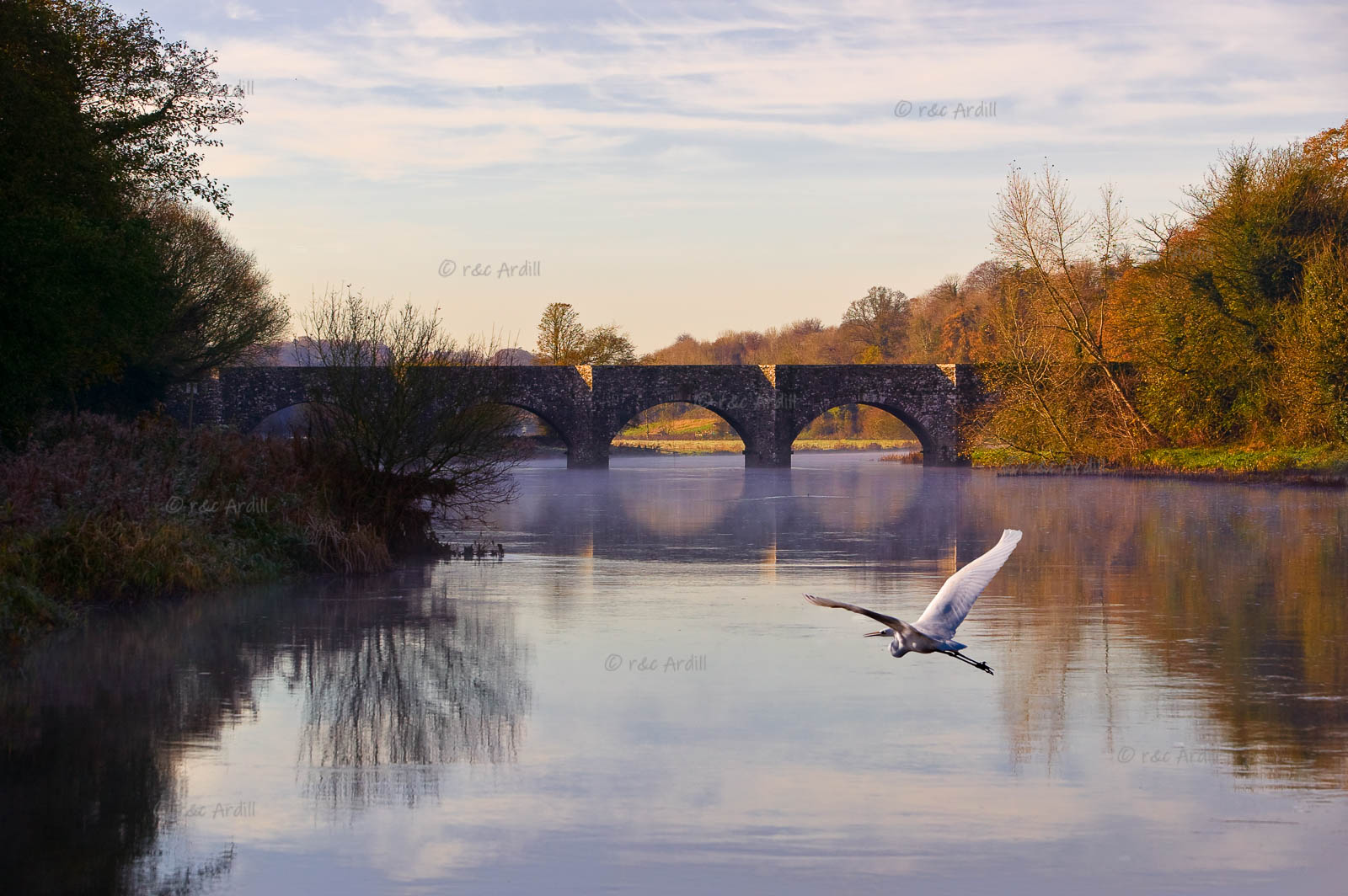 Photo of Boyne Stackallan Bridge - W23999