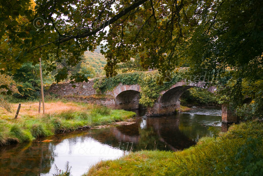 Photo of Wicklow Derrybawn Bridge - W33563