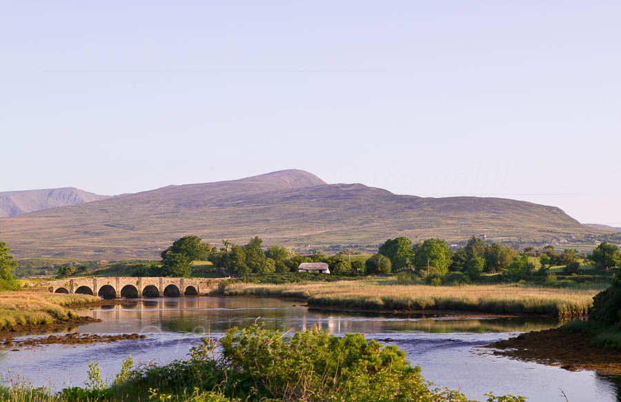 digital river ireland digital river ireland