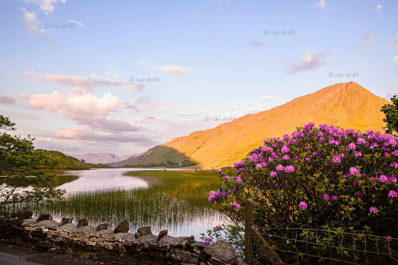 Photo of Connemara Kylemore Lough - W42786