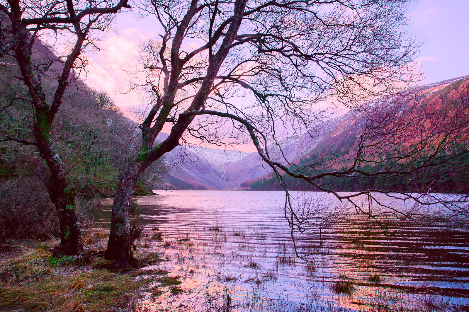 Photo of Wicklow Glendalough Upper Lake - W52730