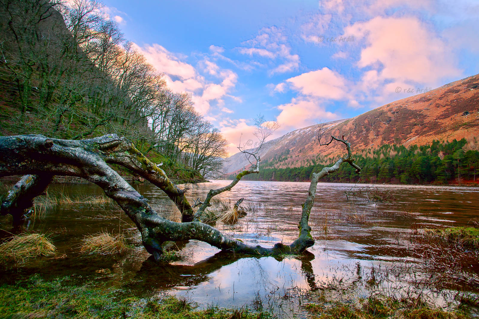 Photo of Wicklow Glendalough Upper Lake - W52759