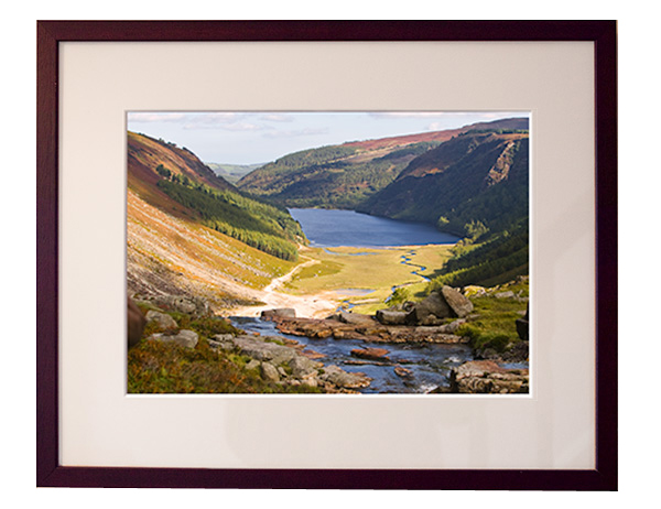 Sample Framed Print